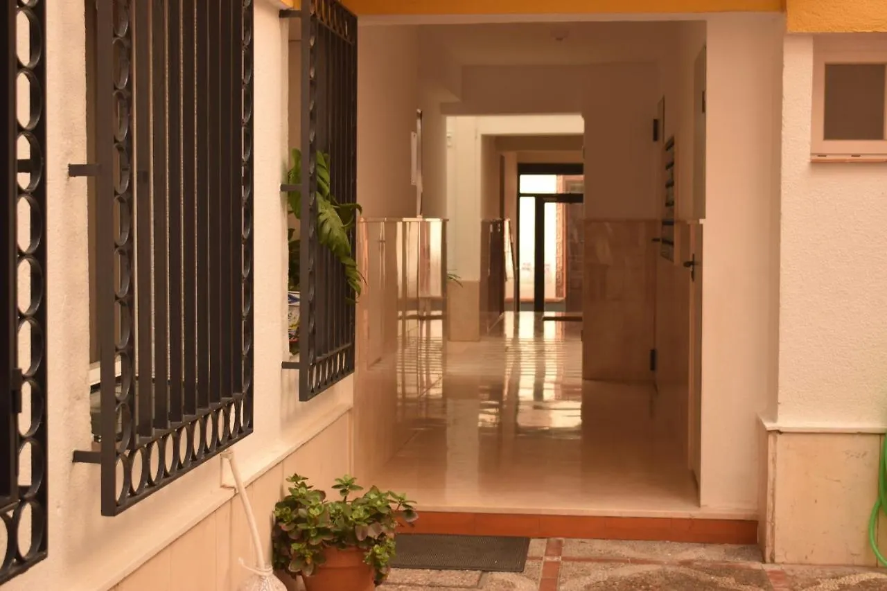 Salado Donkey Apartment Seville