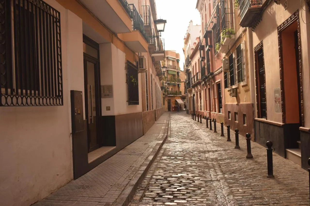 Salado Donkey Apartment Seville Spain