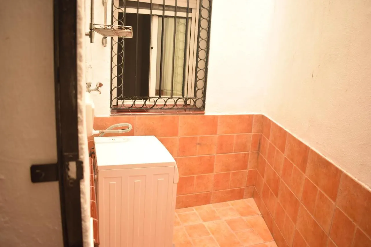 Salado Donkey Apartment Seville